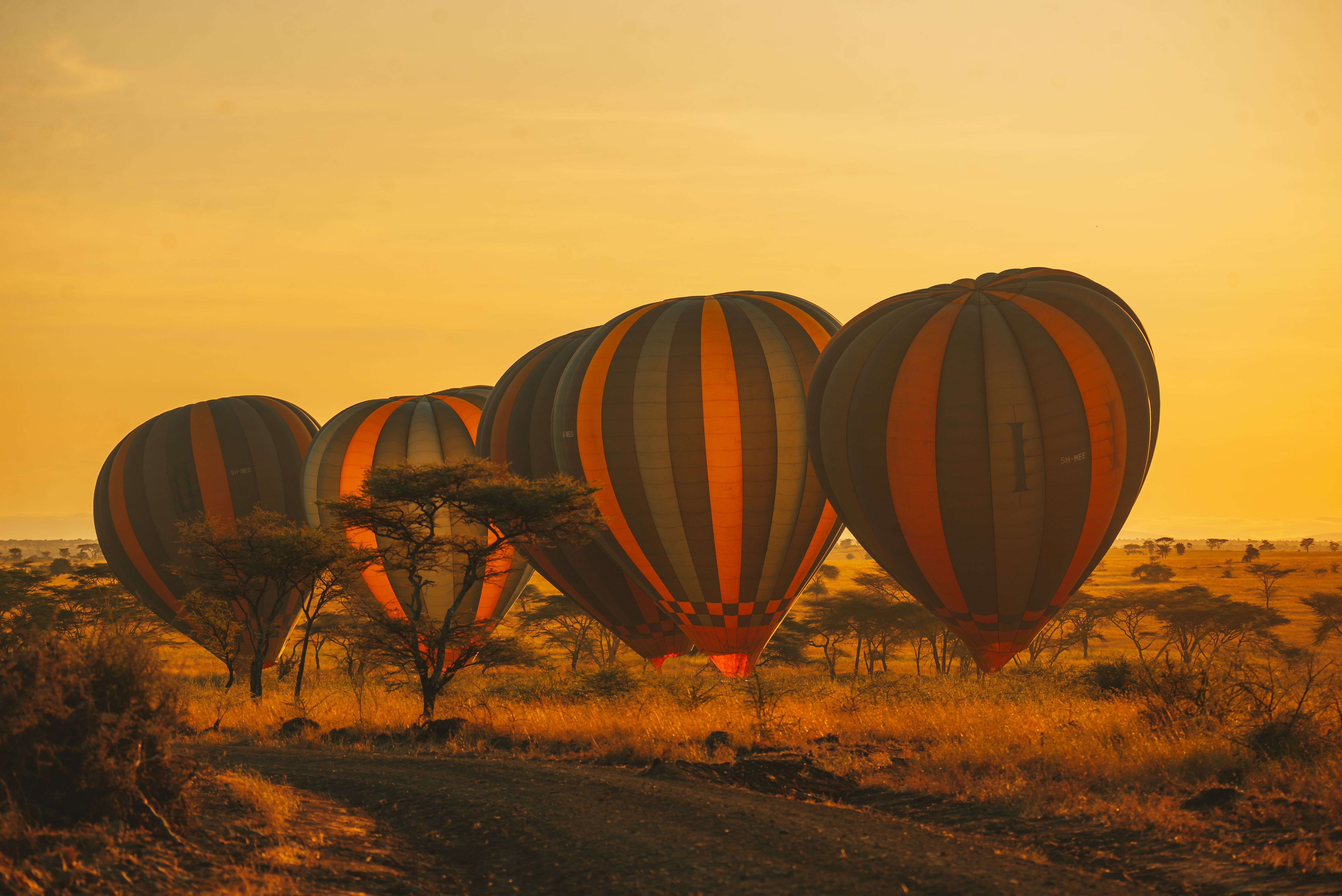 3-Day Express Safari Serengeti & Ngorongoro Express
